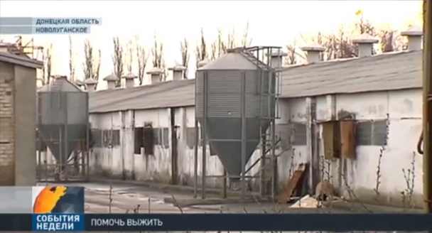 news_video