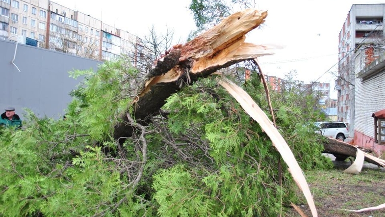 news_photo