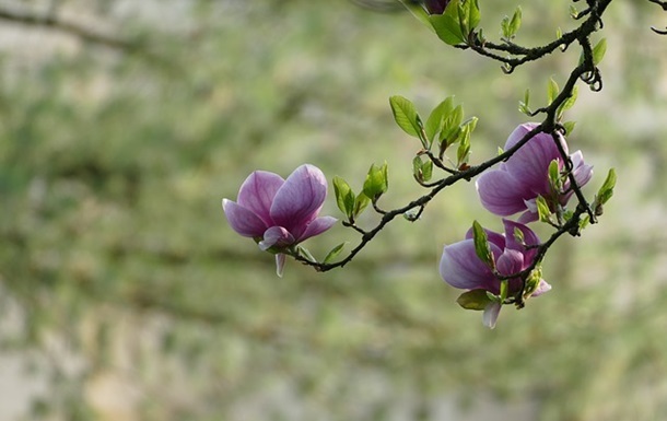 news_upload_2